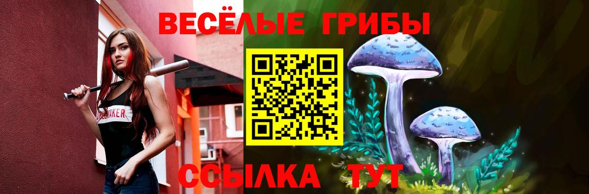 Псилоцибиновые грибы Cubensis  Вход с VPN  Ирбит  Галлюциногенные грибы GOLDEN TEACHER 